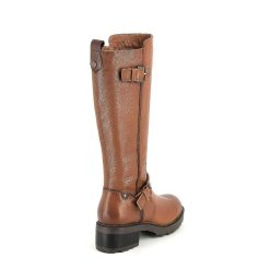 Carmela Bottes | Xaverine Camel